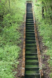 Grüne Treppen  von Bastian  Kienitz