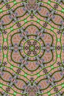 Kaleidoskop von mario-s