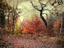 Herbstsonate in Moll by Heidrun Carola Herrmann