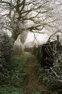 Frosty Lane von Kathleen O'Donnell