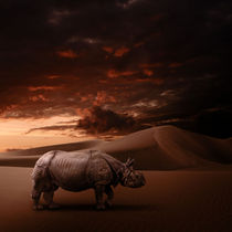 Rhino by Andreas Plöger