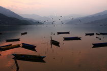 Fishing Boats - Phewa Lake - Nepal by Aidan Moran