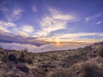 Kilimanjaro Sunset von Jim DeLillo