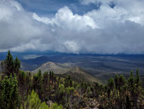 Kilimanjaro Vista von Jim DeLillo