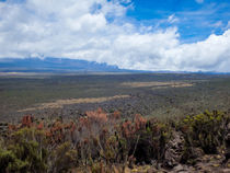 Kilimanjaro Vista von Jim DeLillo