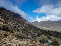 Valleys of Kilimanjaro by Jim DeLillo