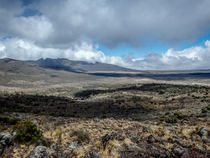 Kilimanjaro Vista II von Jim DeLillo