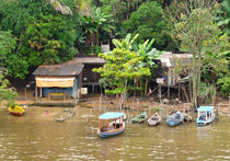leben am Amazonas by reisemonster