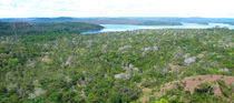 Blick zum Amazonas by reisemonster
