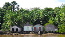 Häuserreihe am Amazonas von reisemonster