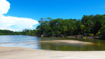 weißer Sand am Amazon  by reisemonster