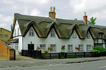 Thatched Cottages In Repton by Rod Johnson