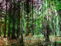 tinted wood by urs-foto-art