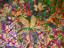abstracted flowers von urs-foto-art