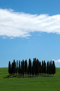 Toscana - ITALY by Nathalie Matteucci