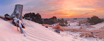 Dune Sunrise von Sara Winter