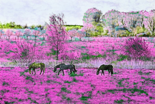 Pferde-auf-pink-4815