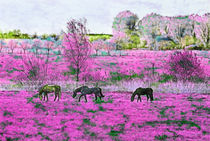 Pferde auf Pink von Viktor Peschel