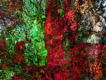 coloured composition IV.I by urs-foto-art