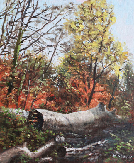 Painting-fallen-trees-on-southampton-common-during-autumn