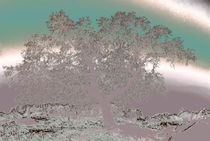 Oak Tree in a Dreamscape by Sally White