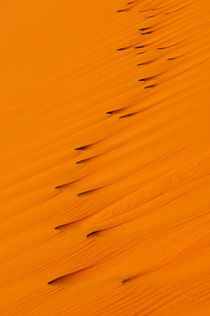 Landscapes - Dune shadows by Andy-Kim Möller