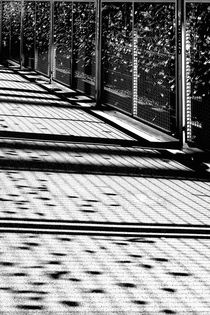 Licht und Schatten von Bastian  Kienitz