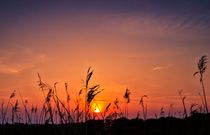 Marsh Sunset von Jeremy Sage