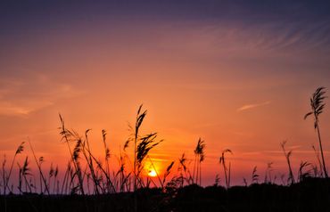 Marsh-sunset