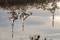 Icicles by Clive Baldwin