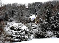 Woodbourne Winter von Clive Baldwin