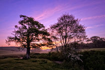 Knowl Water sunrise von Dave Wilkinson