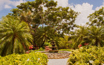 Cayman Island Botanic Park Fountain von John Bailey