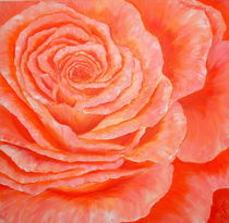 "Rose" von Maria Killinger