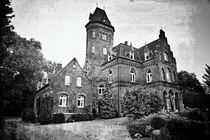 Marienburg Monheim 002 von leddermann
