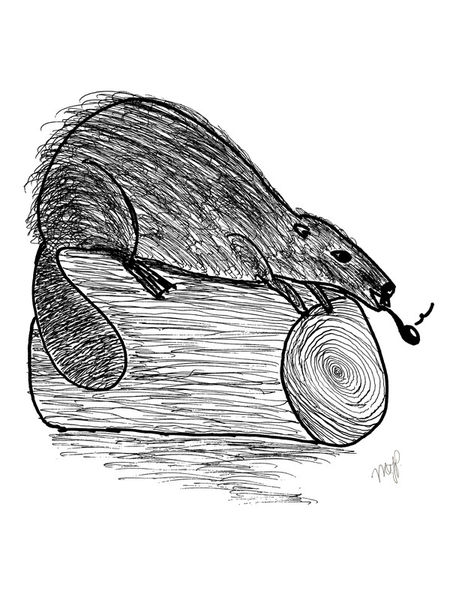 Gentry-beaver-signed