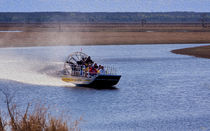 Airboat Rides by John Bailey