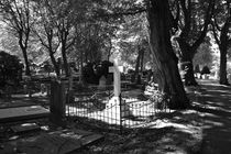 Graveyard, Friedhof, Den Haag 07, 2013 by Henri Panier