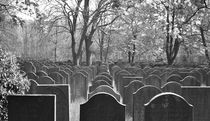 Friedhof, Graveyard, Diemen 18, 2013 von Henri Panier