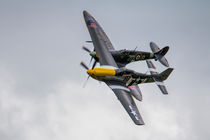Spitfire and Mustang von James Biggadike
