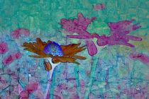 abstracted daisy von urs-foto-art