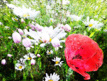 flowery madow by urs-foto-art