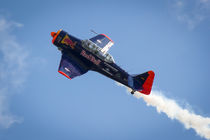 NORTH AMERICAN T-6, RED BULL by aseifert