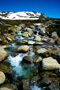 Mount kosciuszko Stream by Tim Leavy
