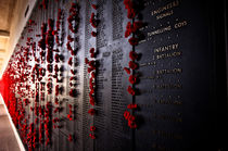 Australian War Memorial Wall by Tim Leavy