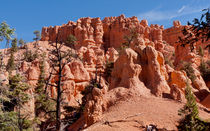 Red Canyon -- Nature's Art Studio von John Bailey