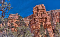 Red Canyon Walls by John Bailey