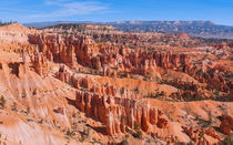 Hoodoo Forest At Bryce Canyon by John Bailey
