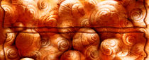 Trimmed Snails Orange by florin