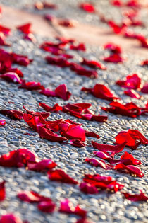 Beautiful rose petals  von Arpad Radoczy